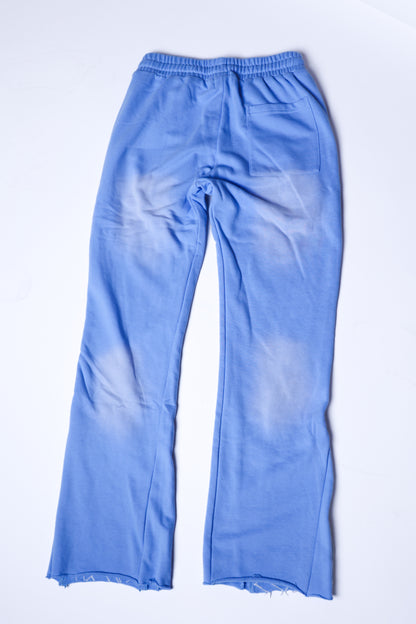 Baby blue signature zip up flared